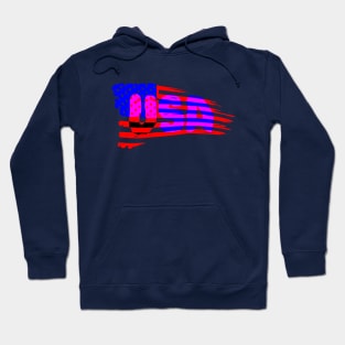 USA FLAG 1 Hoodie